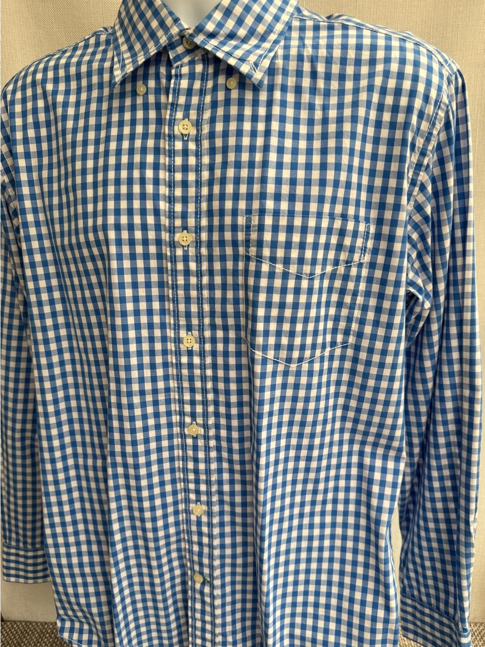 Tommy Hilfiger Blue and White Gingham Button-Down Shirt